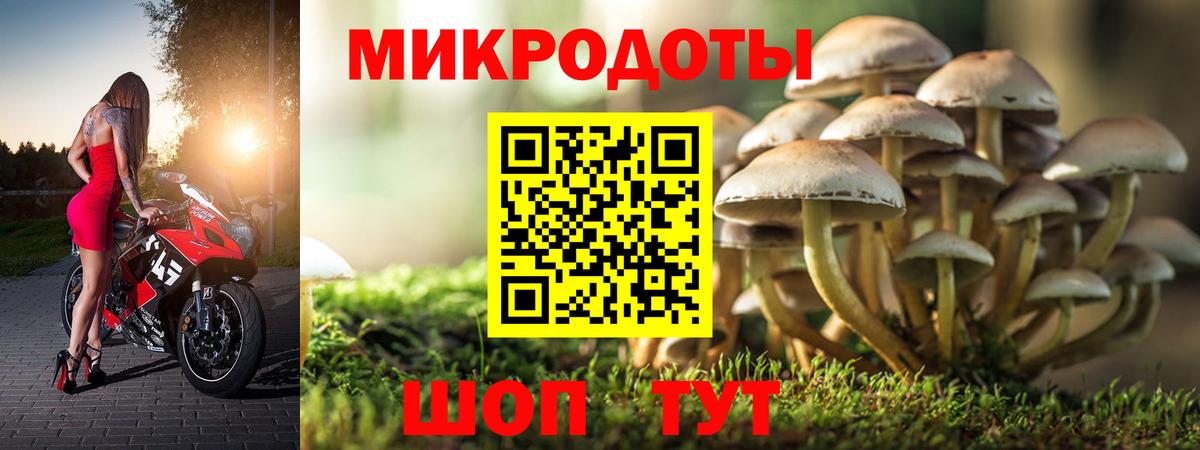 купить  сайты  Галлюциногенные грибы GOLDEN TEACHER  Вход с VPN  Унеча  Псилоцибиновые грибы ЛСД 